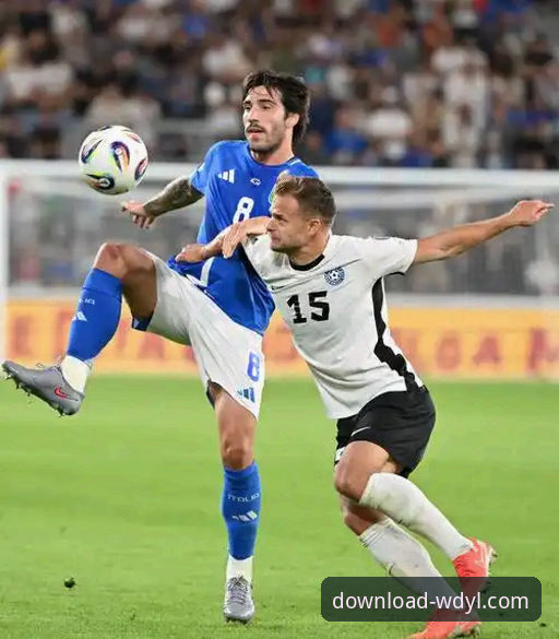 问鼎娱乐更新下载使用技巧 意大利队世预赛再遭重创,问鼎娱乐平台解析蓝衣军团连续出局最新动态